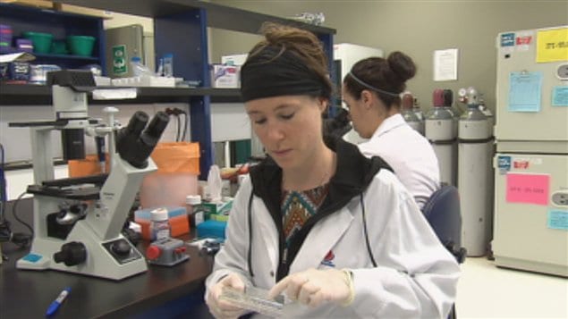 Les laboratoires d’Héma-Québec