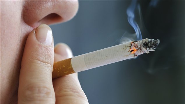 التدخين يقصر متوسط العمر المأمول لدى الإنسان بـ10 سنوات