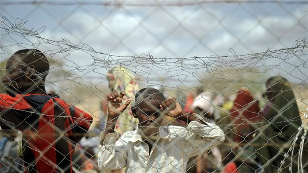 Un millón de somalíes se han desplazado a campos de refugiados en los países vecinos para escapar del hambre, la violencia y la sequía. 