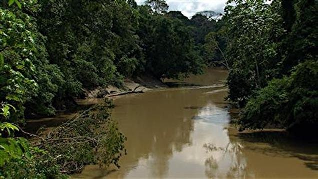 Río Yasuní, en la región amazónica ecuatoriana. El Parque Nacional Yasuní guarda una gran biodiversidad.  