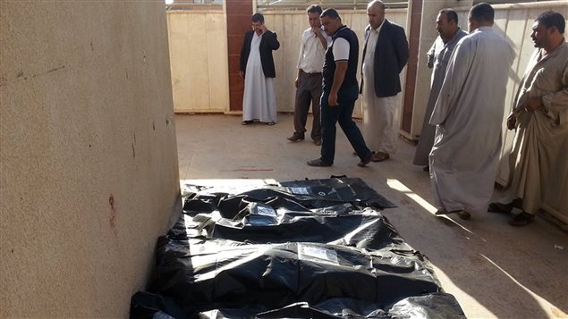 جثث بعض الضحايا في الموصل