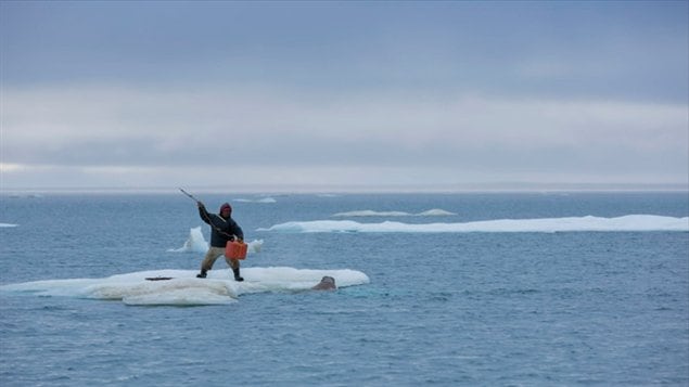Photo de l'exposition le Carbone 14 : Le climat comme culture au Musée royal de l'Ontario