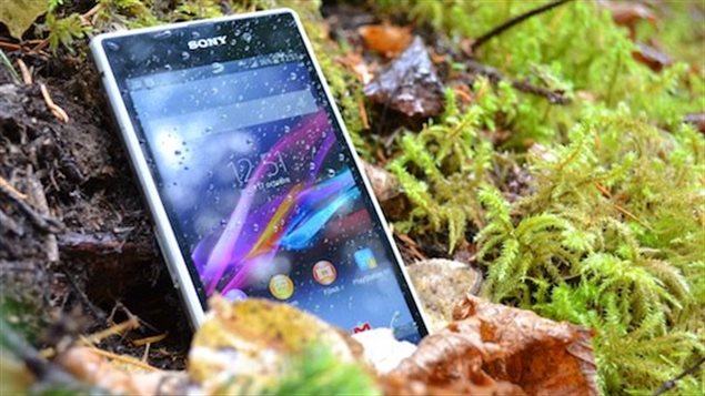 Le modèle Sony Xperia Z1 dans l'herbe