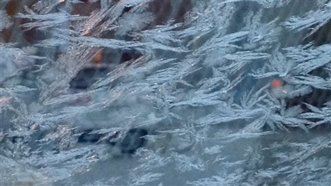 Du givre formé sur un pare-brise le 23 octobre 2013 à Winnipeg.