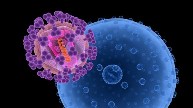 Représentation du VIH qui attaque une cellule saine. 