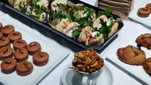 De la gastronomie entomophage De la gastronomie entomophage