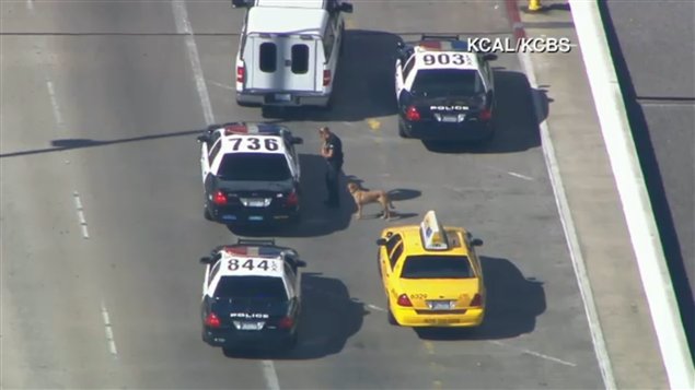 La intervención implicó varias patrullas de policía.