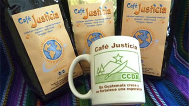 Café Justicia cultivado por miembros del CCDA
