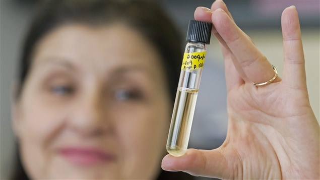 La Dre Christiane Ayotte de l'Agence mondiale antidopage avec un échantillon d'urine