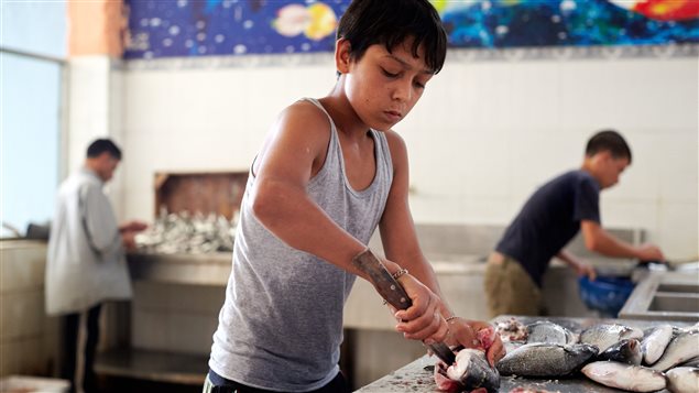 Des enfants syriens vident des poissons dans une poissonnerie, au Liban.