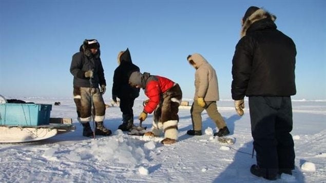 A group of five Inuit hunters cut a hole in the ice to place their hunting nets in the water below.