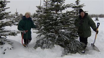 Judy et Peter Kappeler, propriétaires de la sapinière Fir Ever Green