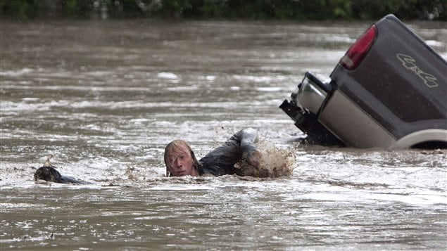 Un homme nage derrière son chat lors des inondations en Alberta.