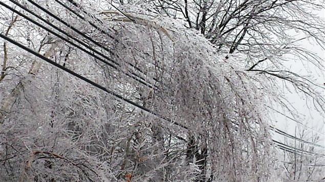 131224_z94yw_kentville-glace-arbres_sn63
