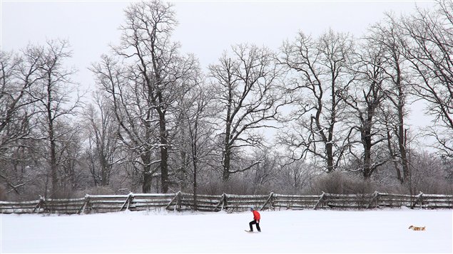 A woman snowshoes with her dog through a field in Mississippi Mills, Ont., on Monday. She is dwarfed by tall trees that tower over a wooden fence.