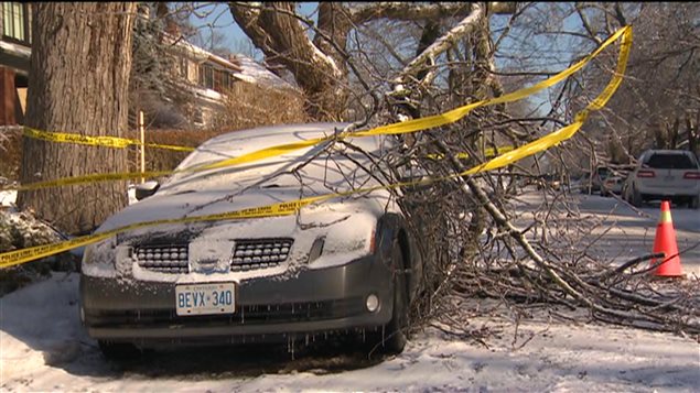 La tempête de verglas qui a frappé Toronto a causé la chute de plusieurs branches.