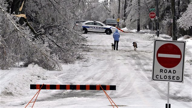 A pedestrian walks down a street closed due to downed power lines and trees in Brampton, Ont. An orange and black barrier and large sign saying "road closed" stand in the front of the picture. A police car hovers below downed trees on the left.