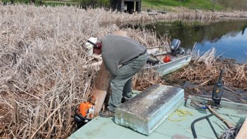 Ces quenouilles flottantes agglutinées ont souvent plus de 60 cm d'épaisseur