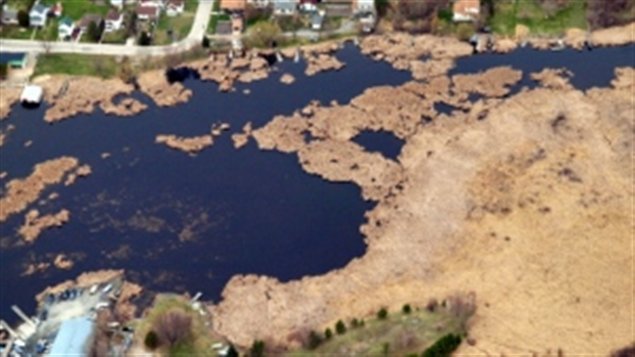 Photographie aérienne près de Kenora en mai dernier. On voit que le chenail est bloqué dans le coin droit supérieur de l'image.
