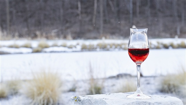 Niagara Icewine Festival