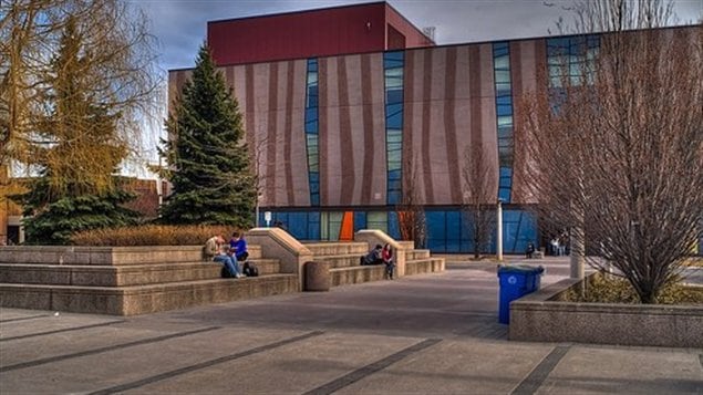 جامعة يورك في تورونتو