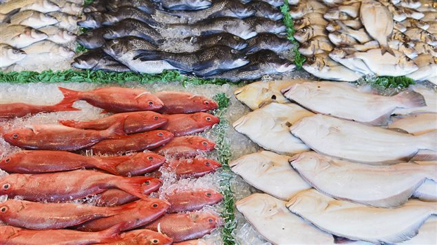 Poissonnerie