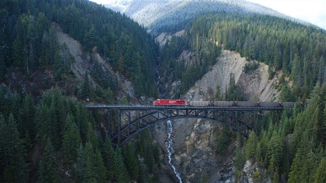 Un train transporte du charbon en Colombie-Britannique.