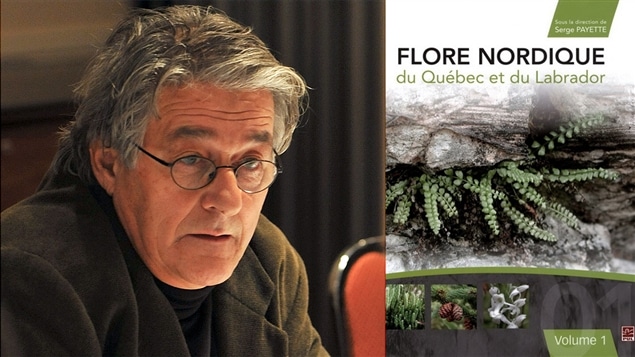 Le biologiste Serge Payette a été nommé Scientifique de l’année de Radio-Canada 2013.