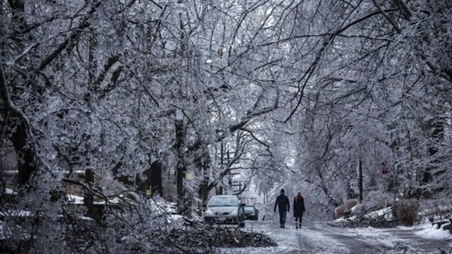 Les réclamations d'assurance causées par les catastrophes naturelles ont atteint la somme record de 3,2 milliards $ l'an dernier au Canada. Les pluies torrentielles de juillet à Toronto et la tempête de verglas à Noël dans le sud de la province de l'Ontario ont causé à elles seules plus d’un milliard 100 millions de dollars de dommages.