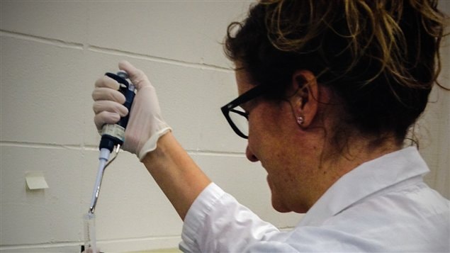 Marina Sánchez, investigadora en kinesiología y nutrición.