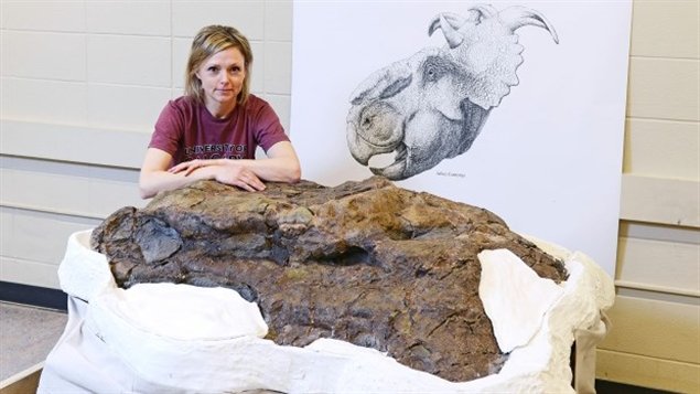 La professeure Darla Zelenitsky pose avec le crâne de dinosaure découvert en Alberta.  