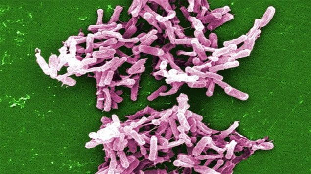 Image d’une bactérie résistante aux antibiotiques