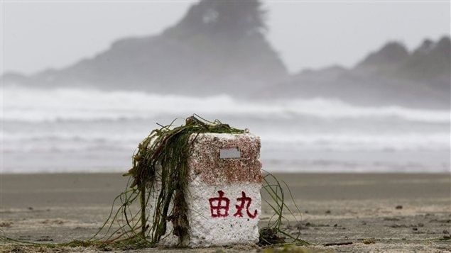 Un des nombreux débris qui se sont échoués sur les plages de l'île de Vancouver depuis le tsunami japonais.