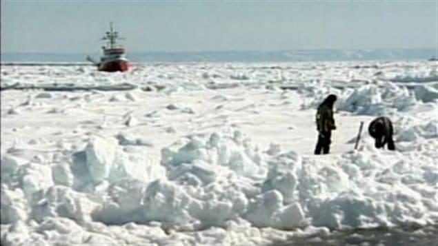  Des chasseurs sur la banquise dans la Golfe Saint-Laurent
