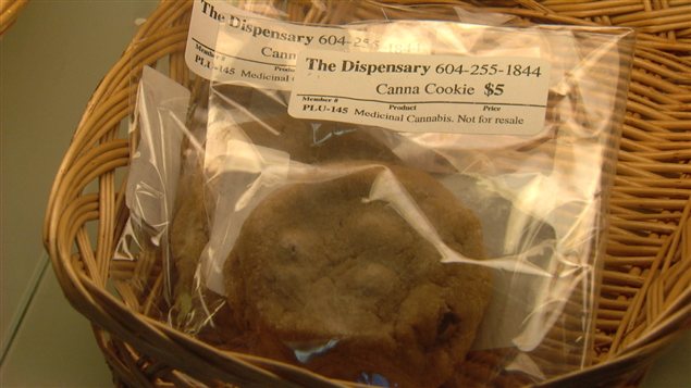 Des biscuits de marijuana.