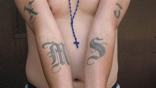 Tatuajes de un miembro de la Mara Salvatrucha.
