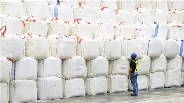 Sacs de sucre dans une usine Sacs de sucre dans une usine