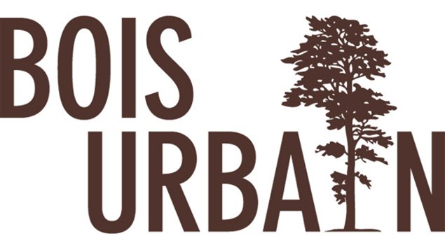  Logo, Bois urbain