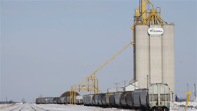 Un train près d'une ferme au Manitoba (archives)