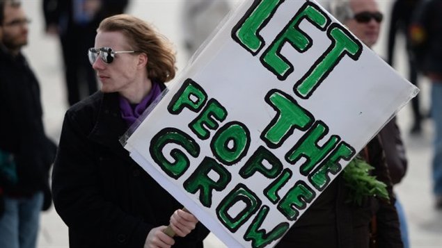 Le gouvernement canadien est critiqué pour sa main mise dans la mise en marché de la marijuana produite à des fins médicales.