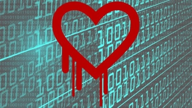 加拿大警方指控一名骇客利用“心脏滴血“漏洞获取他人信息。