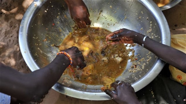 La hambruna azota nuevamente a varios países africanos.