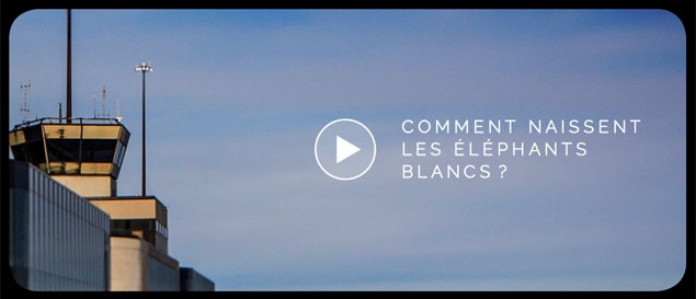 Mirabel, la naissance d'un éléphant blanc