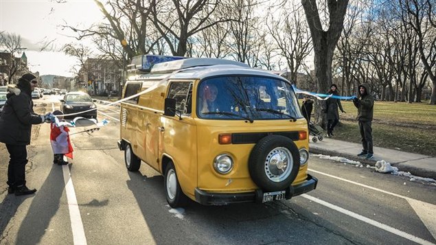 El caracol amarillo a su llegada en Montreal.