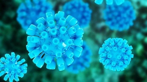 Représentation 3D du virus de l'hépatite C