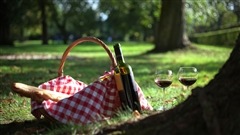 Un pique-nique dans un parc Un pique-nique dans un parc