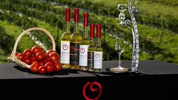  Vin de tomate Omerto du Domaine de la vallée du Bras dans Charlevoix