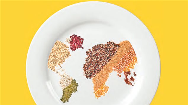 École internationale d’été sur la sécurité alimentaire