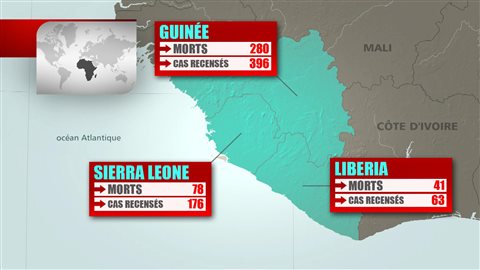 Cas détectés de fièvre Ebola en Afrique de l'Ouest