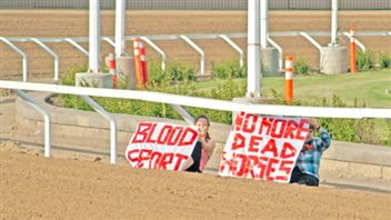 Two women chained themselves to the gates at the chuckwagon race last Friday in Calgary in protest of the event. They are each holding a sign. One says